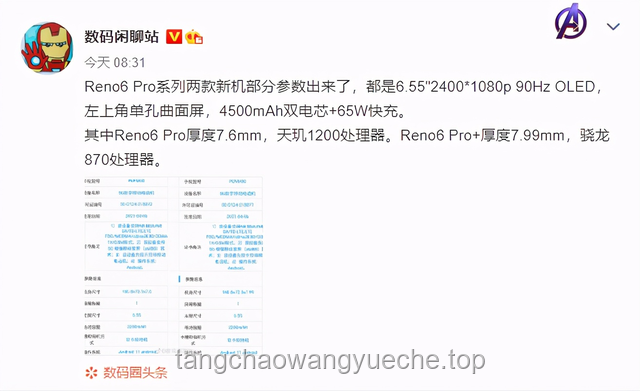 突袭！毕业5年的up主还记得多少专业知识？专业复习与巩固指南